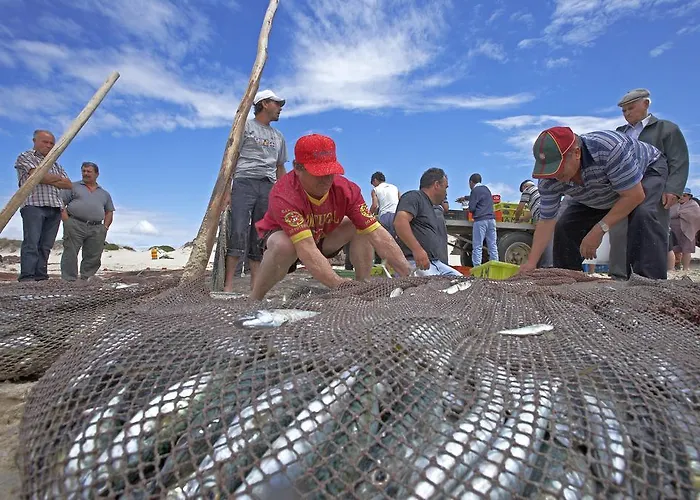 Camping Parque De Campismo Orbitur Vagueira Gafanha da Boa Hora