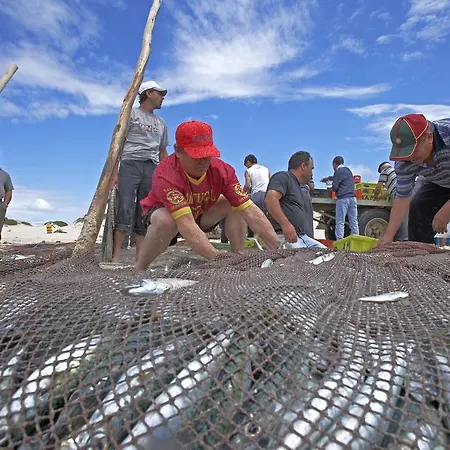 Κάμπινγκ Parque De Campismo Orbitur Vagueira Gafanha da Boa Hora